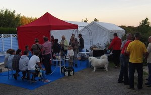 Les Bénévoles à l'HONNEUR !!!