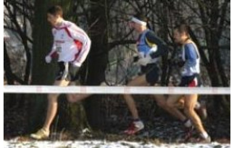 Cross des douanes à SARREGUEMINES