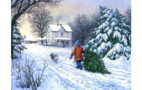 JOYEUX NOËL  et  BONNE ANNEE 2012