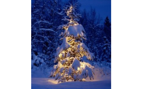 JOYEUX NOËL et BONNE ANNEE