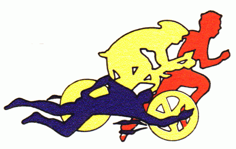 TRIATHLON de La FERTE-BERNARD (72)