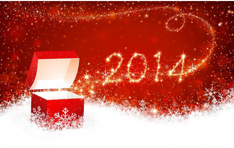 Bonne Année 2014 !!!