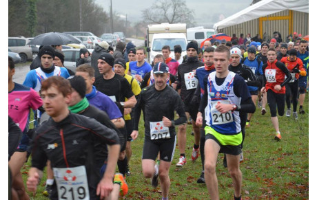 6è CROSS de HIRSCHLAND