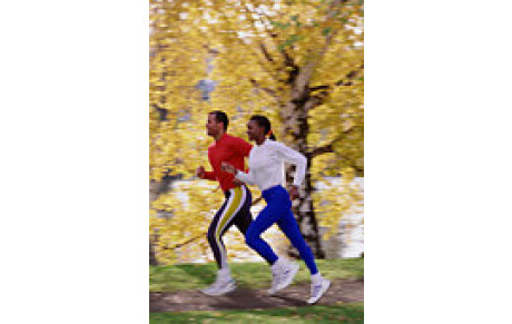 CROSS de SCHAEFERHOF