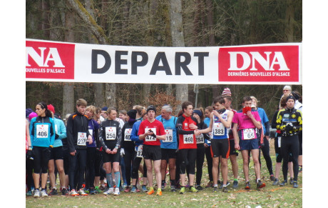 CROSS de WINGEN sur MODER