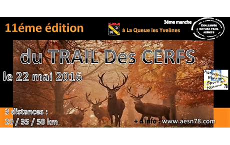 TRAIL des CERFS