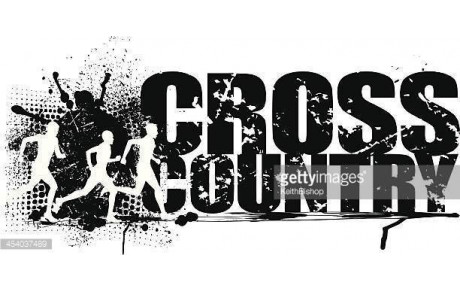 CROSS de WINGEN sur MODER